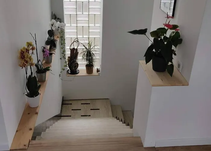 Grande Maison Familiale 8p, 14 Max, Pas De Fete Vila Nantes